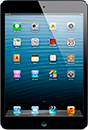 Ремонт iPad mini в сервисе Твери2